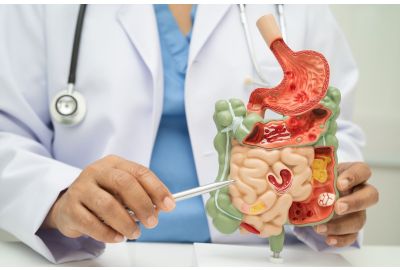 Flora intestinal: ¿qué es y cómo cuidar tu microbiota intestinal?